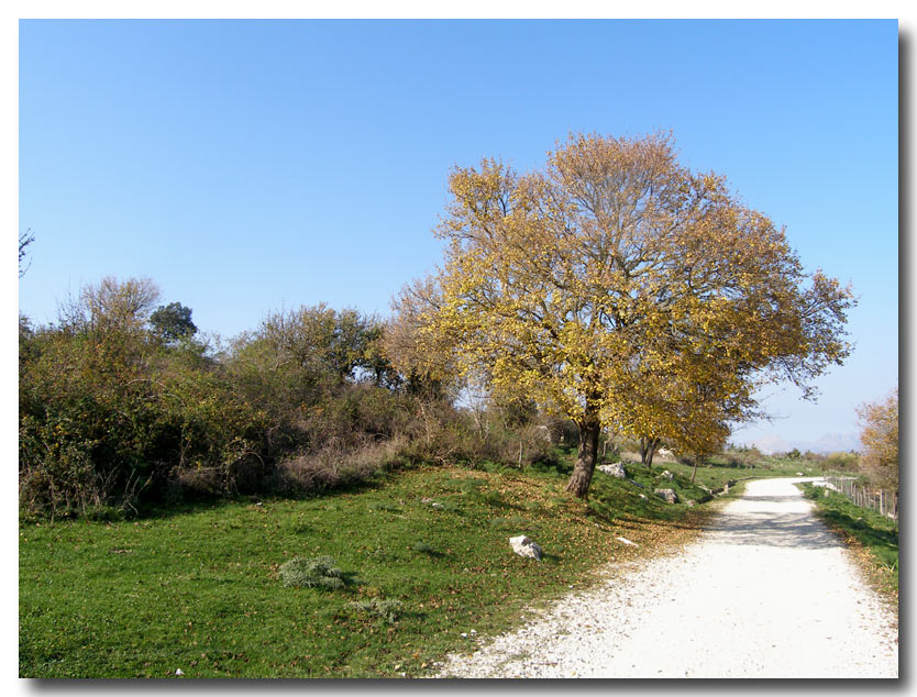 Dobbiamo stare vicini vicini (ovvero: inverno in compagnia)